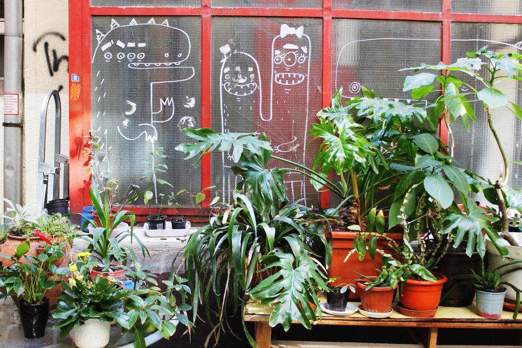 Dbc Hostel Budapest Extérieur photo